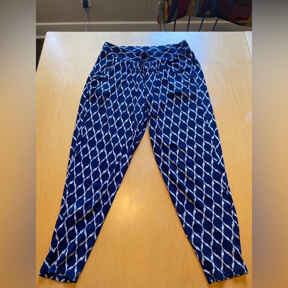 Robin Piccone Blue and White Patterned Pants